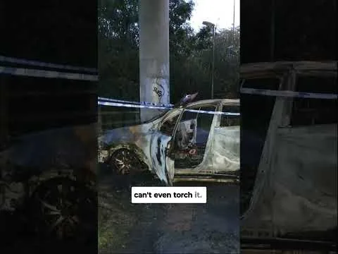 Gatwick Arson Duo Get Suspended Sentences After Car Theft and Monorail Chaos