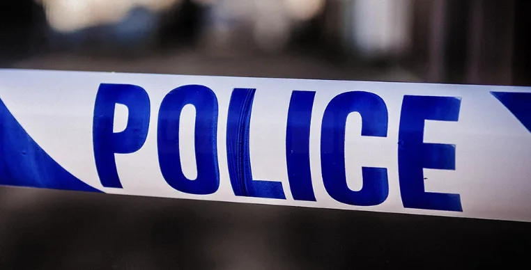 Man Sets Dog on Rival in Shocking Morning Attack Outside Crystal Palace Station
