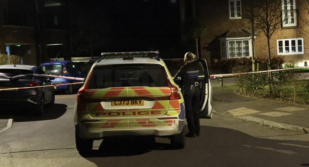 Neighbours at War Double Stabbing After Neighbour Dispute on Devizes Road, Tadworth