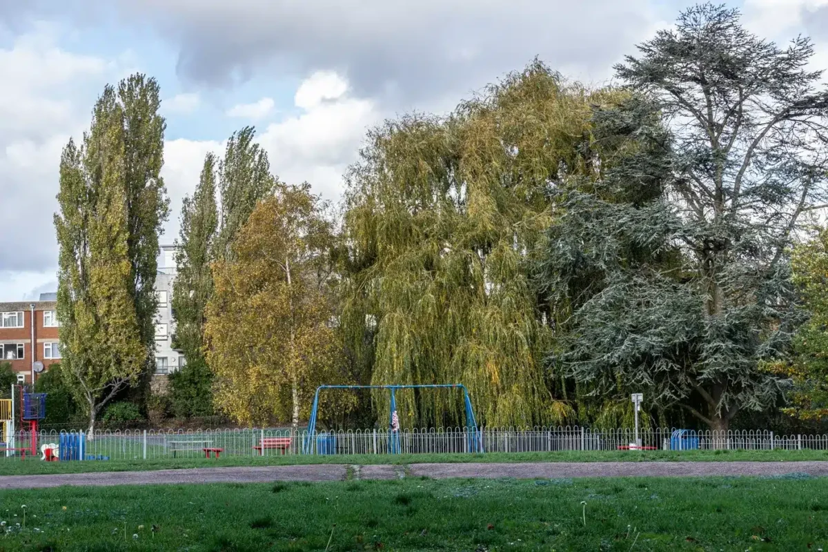 Child Hospitalised After Dog Attack in Southend Park as Police Seize Dog and Launch Probe