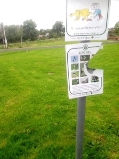 Police Hunt Man in Bright Orange Jacket After Young Girl Distressed in Dunfermline’s Rex Park