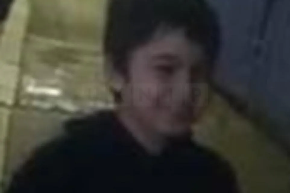 Urgent Search for Missing 8-Year-Old Boy in Forest Hill, Lewisham