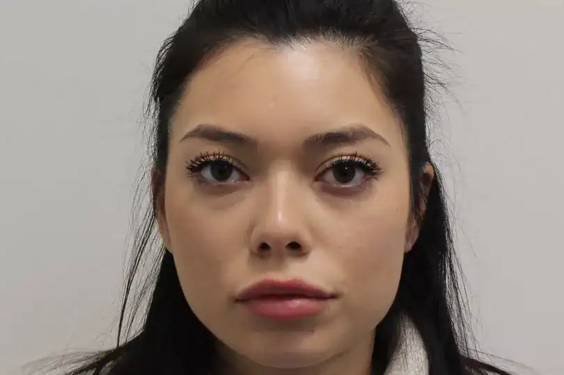 North London Pickpocket Jailed After Stealing £6,000 from Uxbridge Pensioner