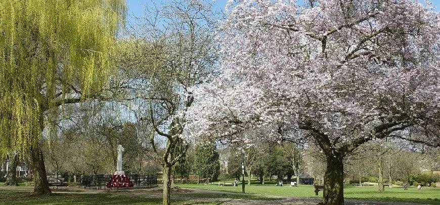Banbury Rape Horror: 19-Year-Old Arrested After Attack in People’s Park – Police Urge Witnesses to Come Forward