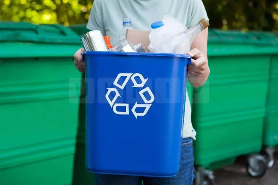 England’s New Workplace Recycling Rules: Tough Bin Laws Hit Businesses with 10+ Staff