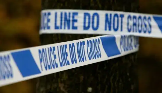 Murder Probe Underway After Man Killed and Two Injured in Brighton Home Attack