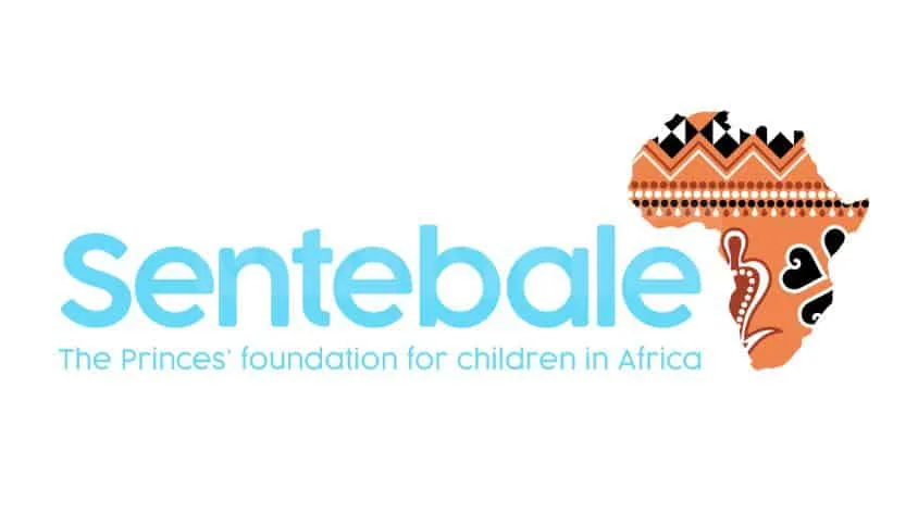 Charity Probe Launched into Prince Harry’s Sentebale Over Governance Concerns