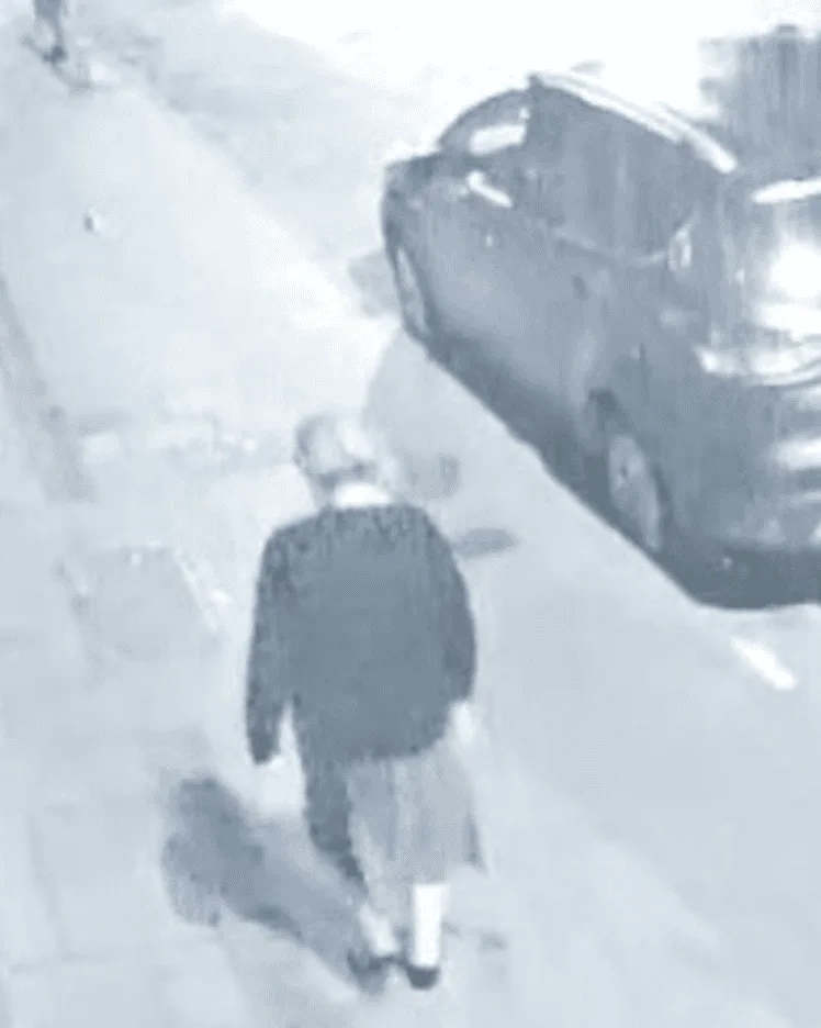New CCTV Image Urgent in Search for Missing 76-Year-Old Carolyn Groom in Gravesend