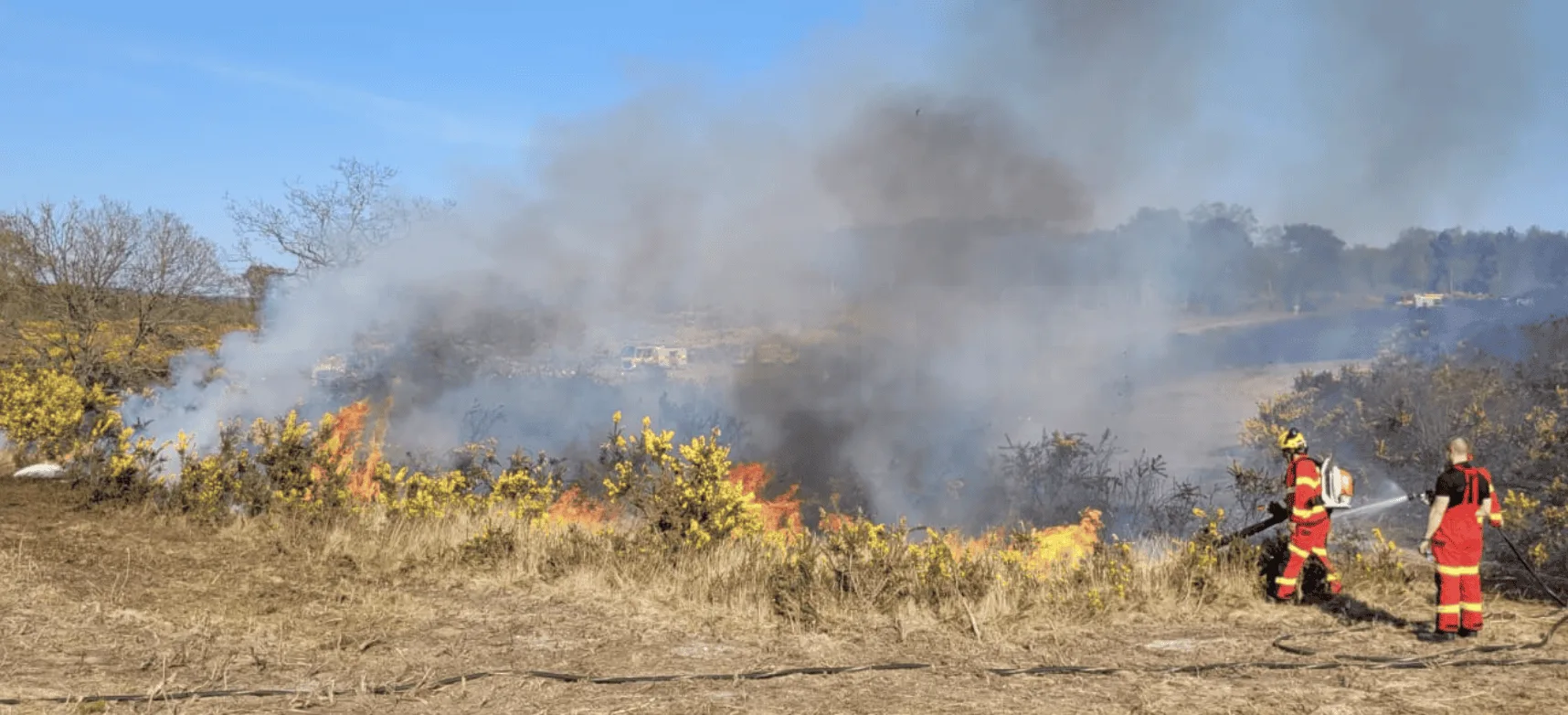 Wildfire Rages in Blackwater Heathland Near A30, Firefighters Battle Blaze Across Two Hectares