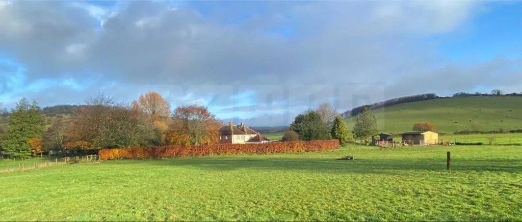 Police Raid Illegal Woodland Rave Near Chichester, Roads Locked Down in Sussex Chaos