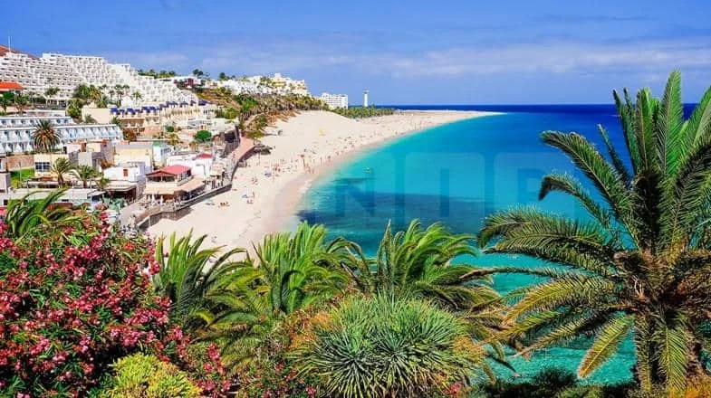 Brits Warned: Canary Islands Hit by Gale-Force Winds and Coastal Storm Alerts