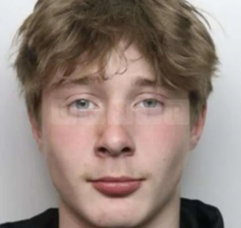 Police Appeal to Help Locate Missing Teenager Riley from Dunstable