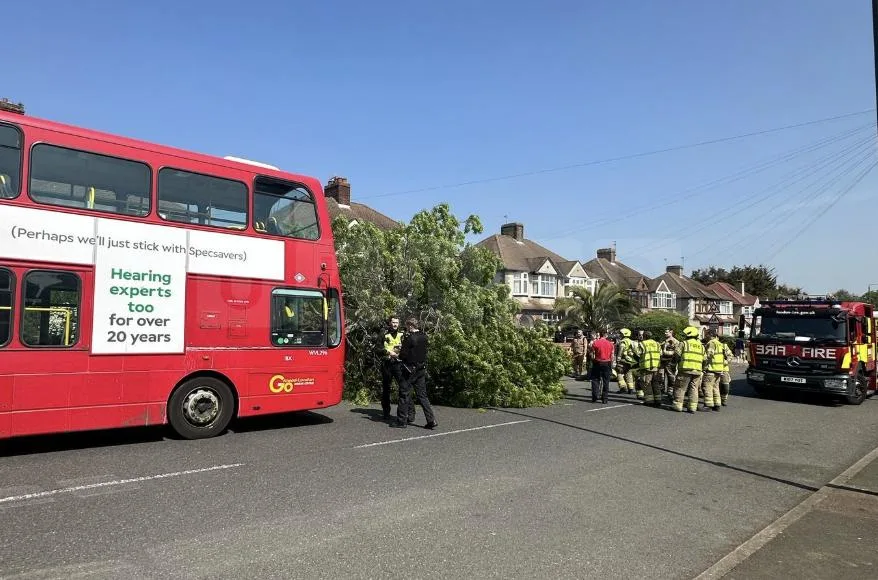 Bus Crashes Into Tree in Welling, Leaves Man Trapped and Seriously Injured