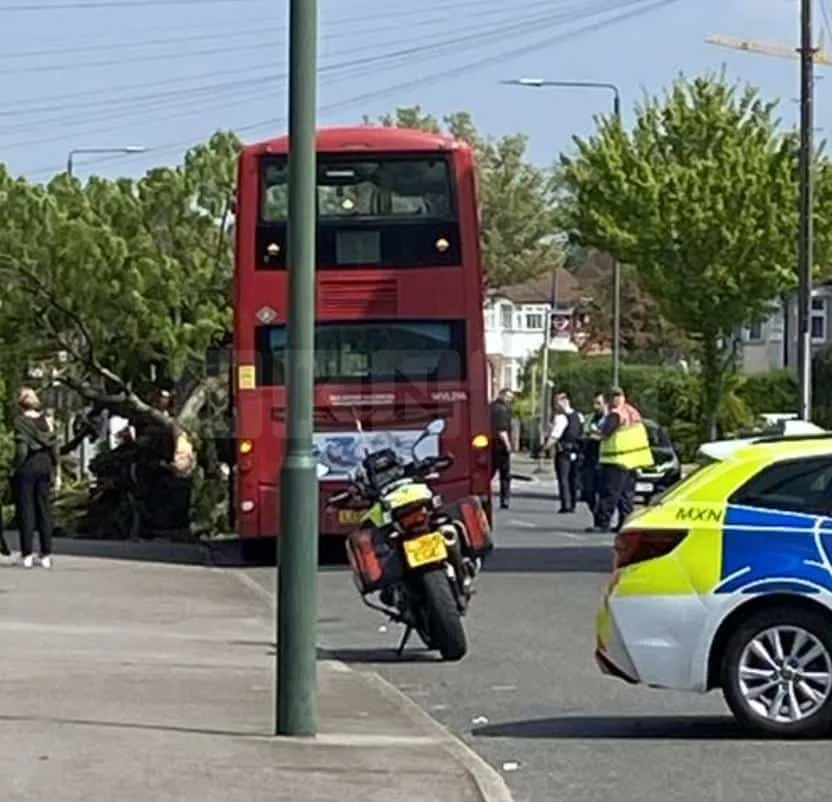 Bus Crashes Into Tree in Welling, Falling Branch Seriously Injures Pedestrian