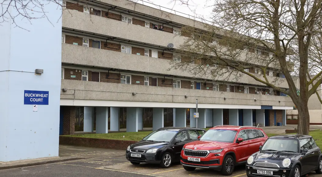 Thamesmead Siblings Found Dead in Suspected Suicide Pact—Fatal Stab Wounds Confirmed