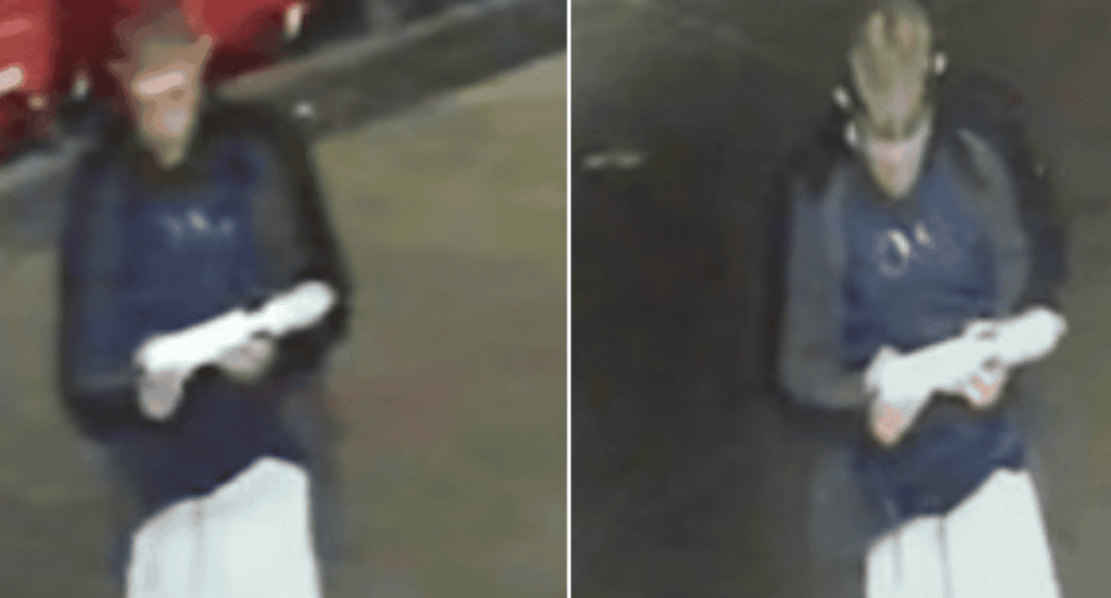 INTRUDER IN THE NIGHT! Woman Woken by Bedroom Burglar as Hairdryer Stolen in Radford Raid