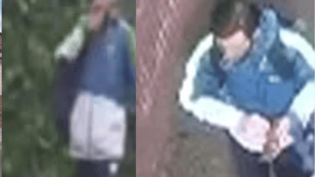 Five-Year-Old Bitten by Dog on Tyne and Wear Metro: Police Urgently Seek Suspect After Train Attack