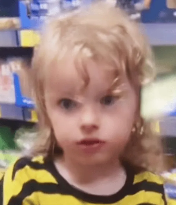 Lowestoft in Chaos After Missing 4-Year-Old Alert Proved a Hoax—Boy Found Safe at Home