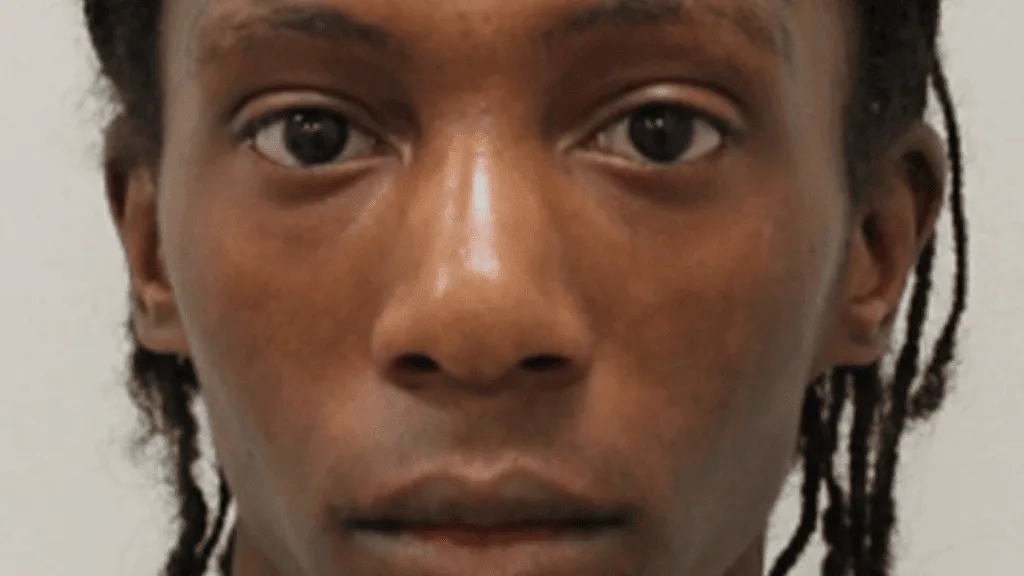 Notting Hill Carnival Horror: Shakeil Thibou Jailed for Life Over Murder of Mother Cher Maximen in Front of Child