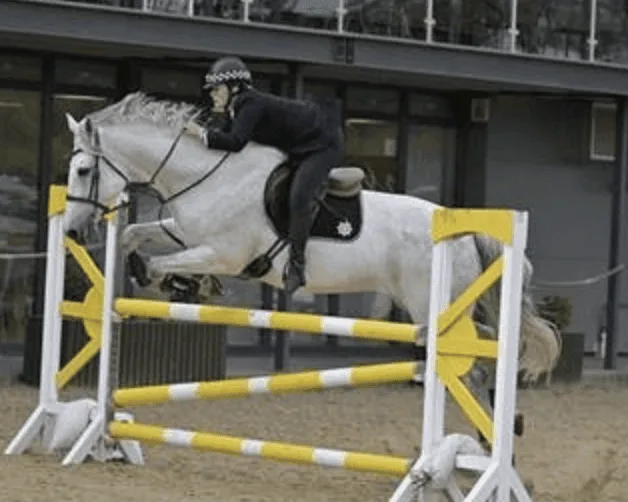 Wiltshire Police Triumph at Forces Equine Championships in Bedworth