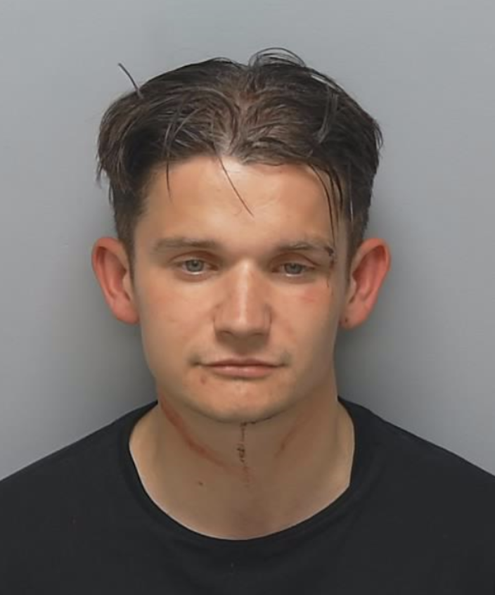Thug Jailed for Violent Robbery on Train in Farnborough