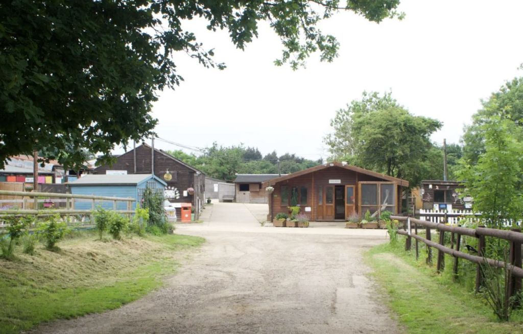 Hopefield Animal Sanctuary Temporarily Closes to Carry Out Urgent Repairs