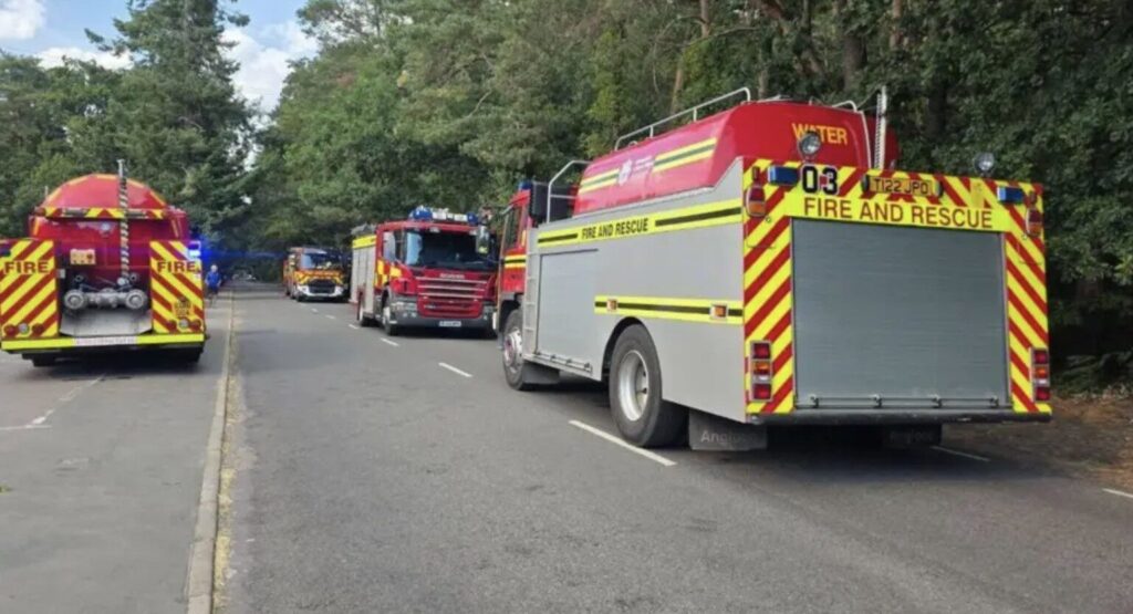 Major Wildfire Breaks Out on Hankley Common in Surrey Amid 33°C Heatwave