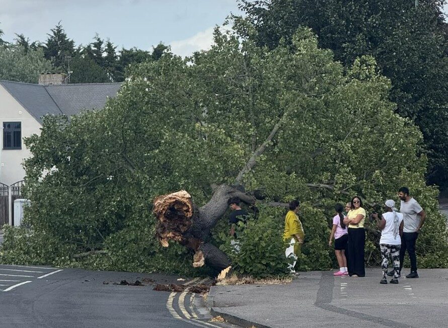 Family’s Lucky Escape After Tree Collapses Near Dartford Swimming Baths