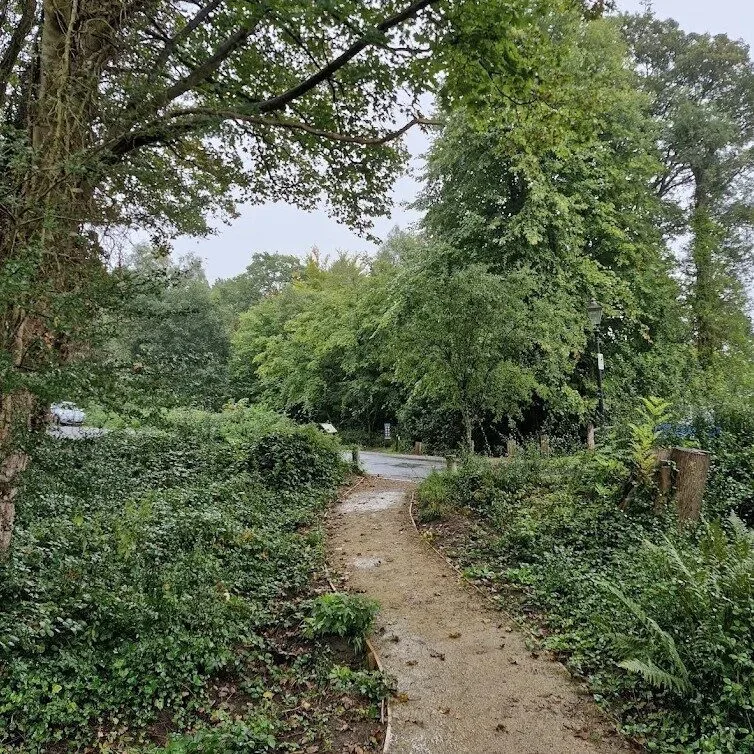 Kent Police Hunt Pervert Who Exposed Himself to Woman and Child Near Rusthall Woods