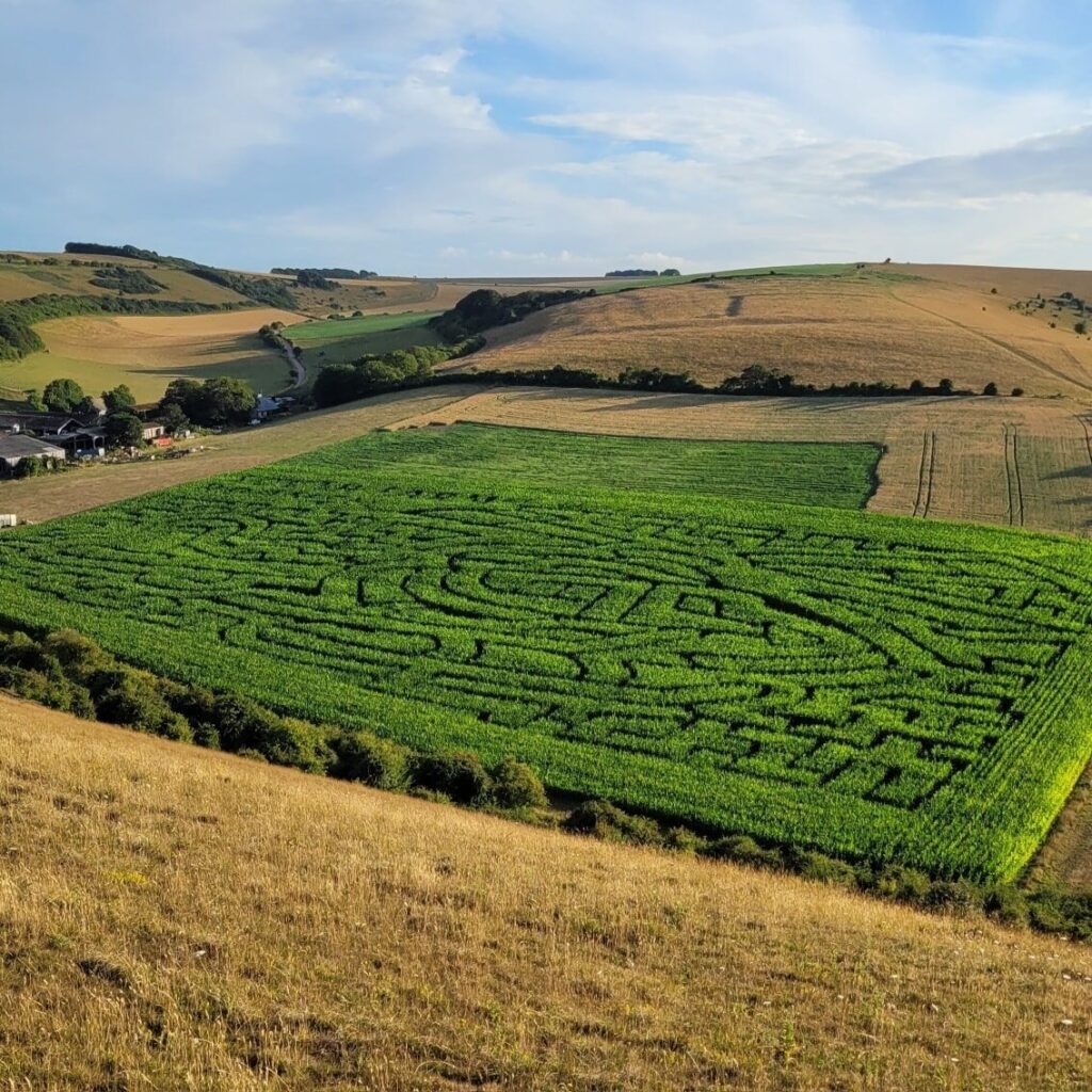 Get Lost for a Great Cause This Summer!