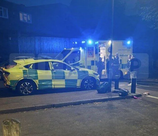 Man, 54, Arrested After Stabbing Leaves Plumstead Victim Hospitalised
