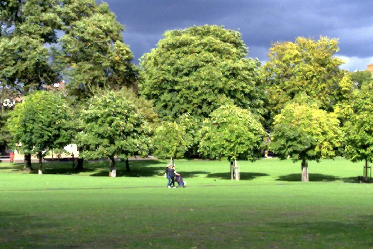 Gang of Masked Youths Leave Man Fighting for Life in Brutal Peckham Rye Park Attack