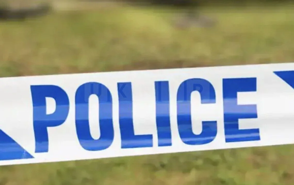 Body of Man Found in Woods Near Allotment in Mottingham