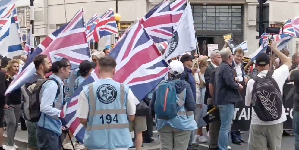 Protests in Westminster Lead to Mass Arrests