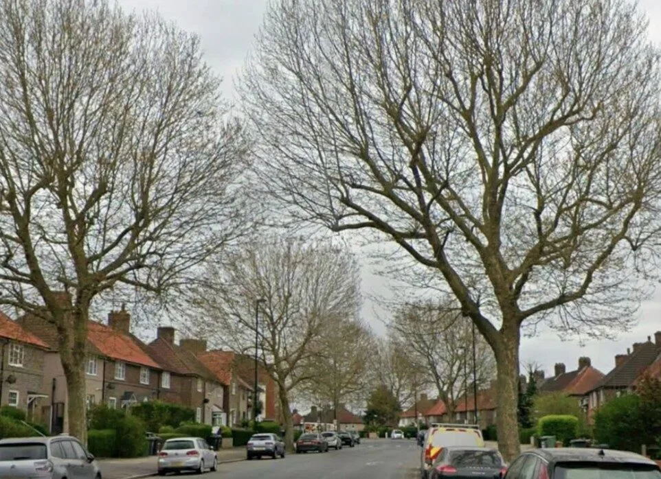 Dramatic Police Raid Shuts Down Downham Way in Lewisham – Road Reopens After Hours