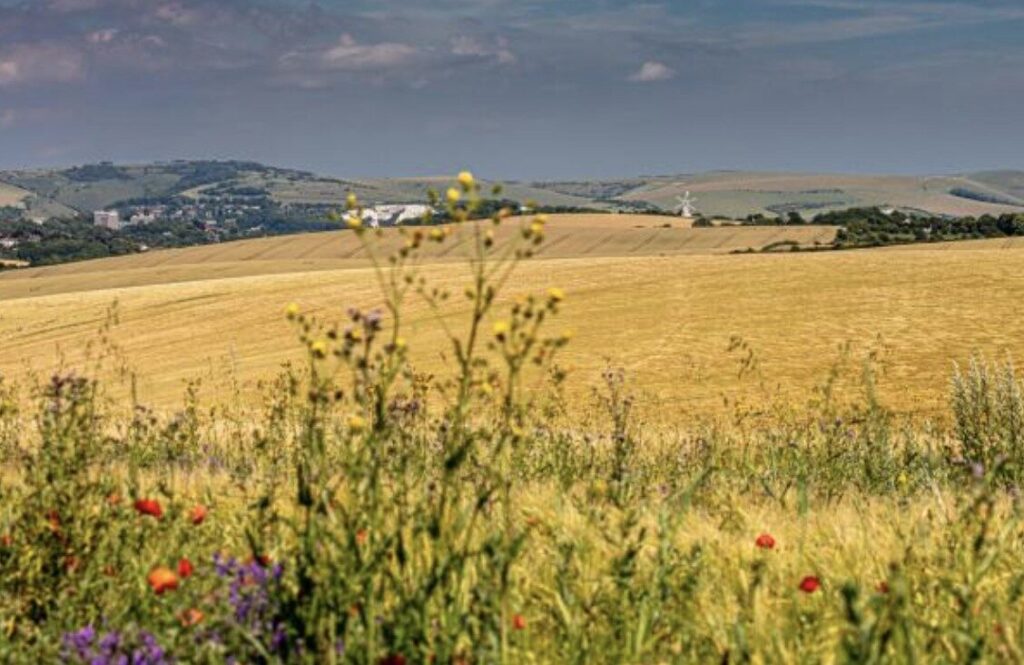 Kingston Near Lewes: Sussex’s Posh Village with Real Charm