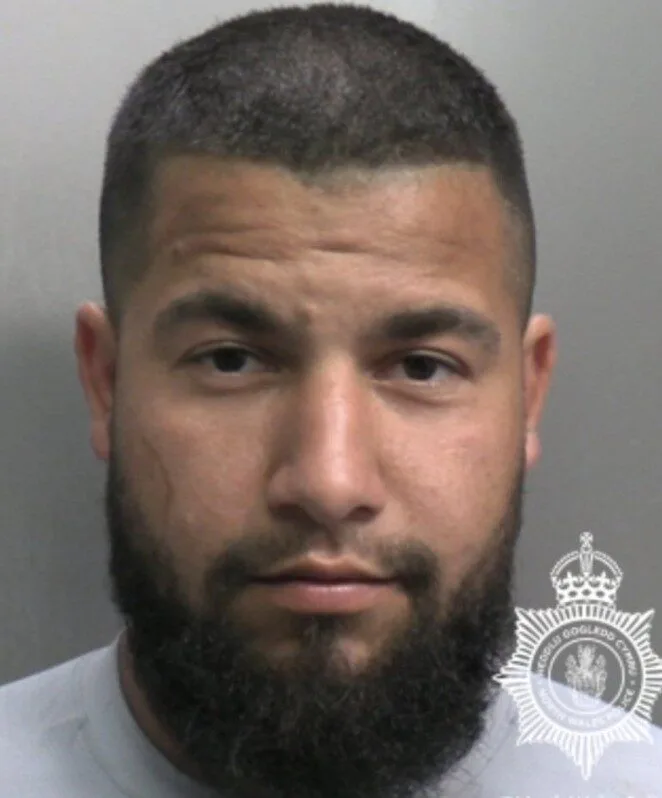 Monster Jailed for 16 Years After Brutal Assault in Flintshire