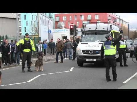 Portsmouth Fans Lose It as Plymouth’s Last-Minute Winner Sparks Chaos at Fratton Park