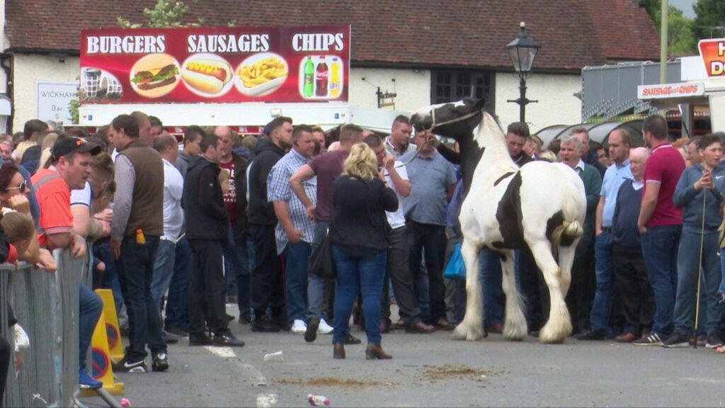 All Fun and Fights at the Wickham Horse Fair 2017