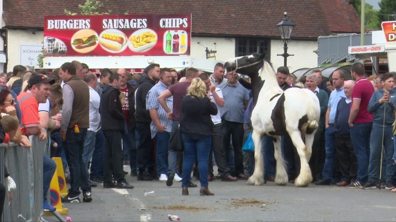 Chaos and Clashes at Historic Wickham Horse Fair 2017 as Police and RSPCA Step In