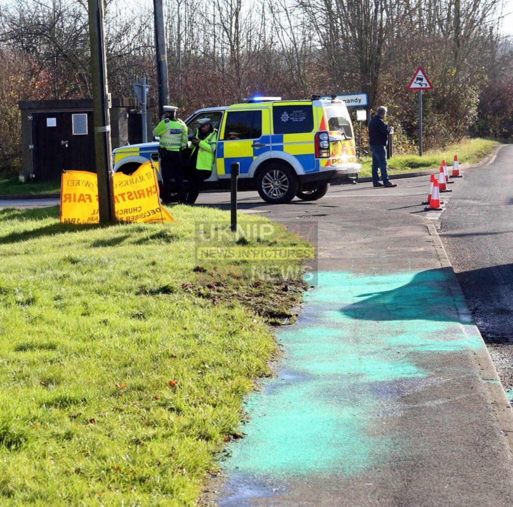 Owners devastated’ after Two horse dies in road Collision in Normandy Surrey