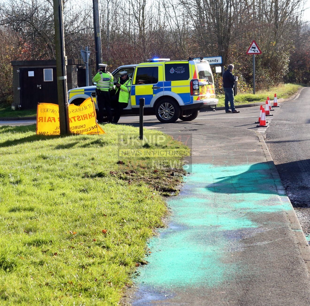 Owners devastated’ after Two horse dies in road Collision in Normandy Surrey