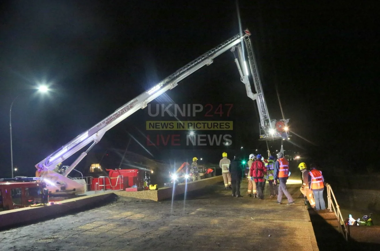 Stranded Isle of Wight Dolphin Euthanised After Terrible Jaw Injuries and Failed Rescue Attempt