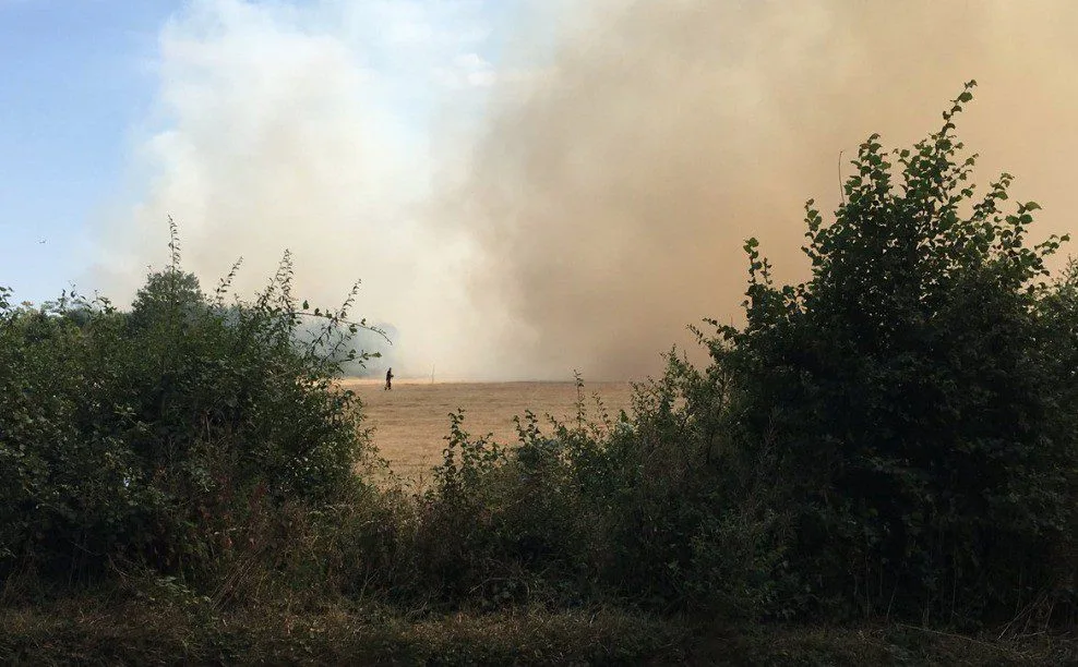 Massive Blaze Engulfs Maidenhead Field on Stompits Road, M4 Chaos and Smoke Alert
