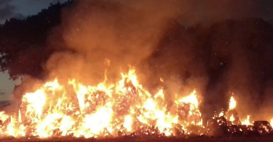50 Firefighters Battle Massive Grass Blaze Destroying 50 Football Pitches in The New Forest