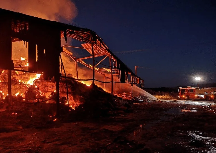 Barn Razed in Massive Fire Near Alresford as 1,500 Bales of Hay Burn