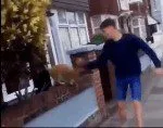 Teen Arrested in Portsmouth for Vicious Sucker Punch Attack on Ginger Cat