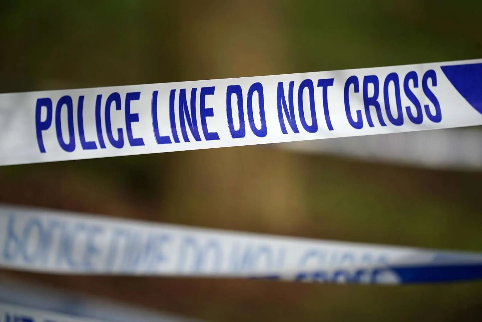 Two Men Dead as Van Crashes into Tree on M3 Near Fleet – Police Seek Witnesses