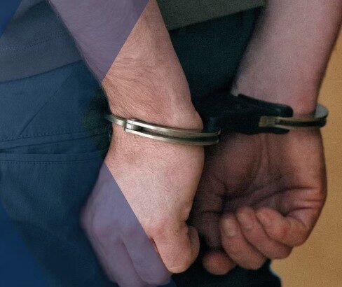 Two Held Over Cyber Raid on London Nurseries