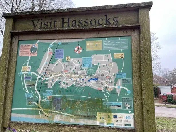 Man, 25, Arrested Over Rape of 14-Year-Old Girl in Quiet Sussex Village